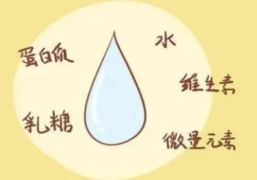 可丽蓝十字验孕棒怎么看？附使用方法和结果解读