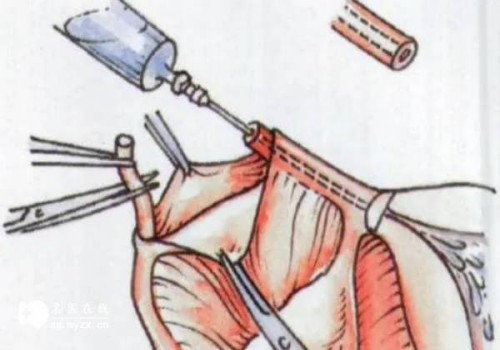 盘点男性x和y精子存活时间，看看到底能存活多长时间！_1